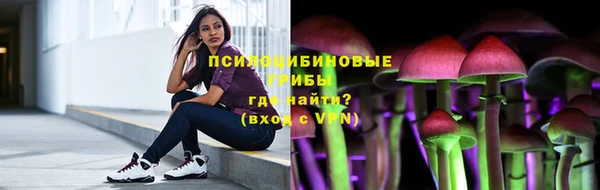 COCAINE Инсар