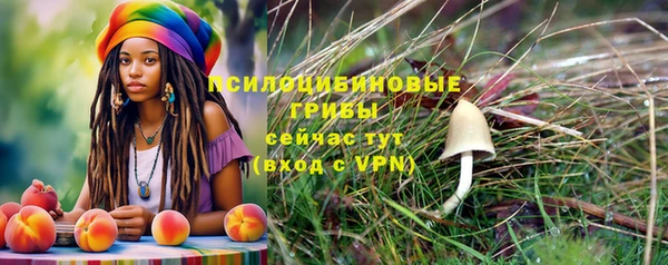 мяу мяу кристалл Каменка